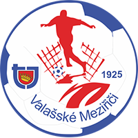 TJ Valašské Meziřící